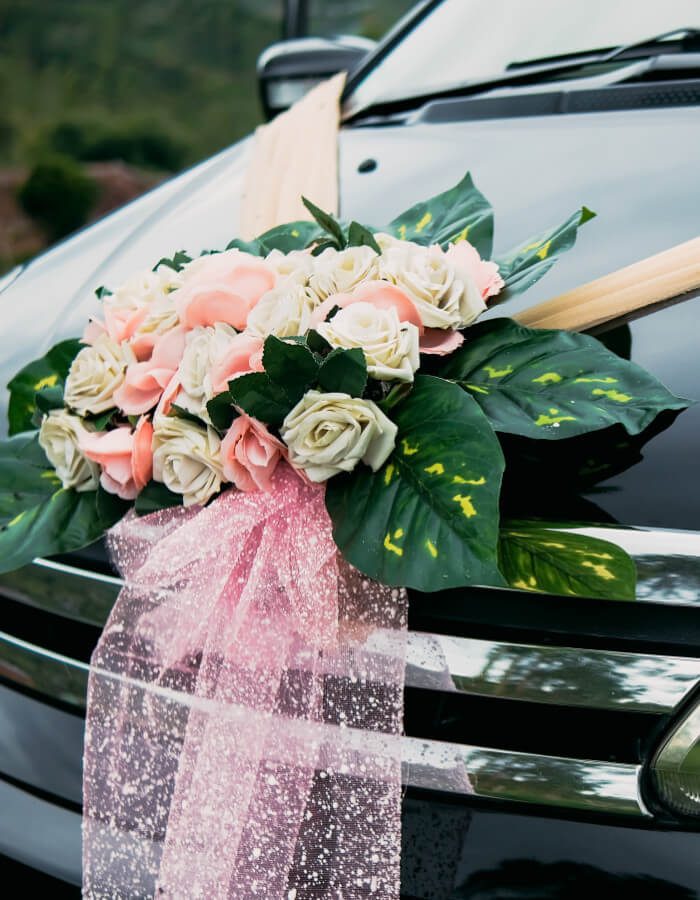 Taxi VTC Saint Raphaël 83